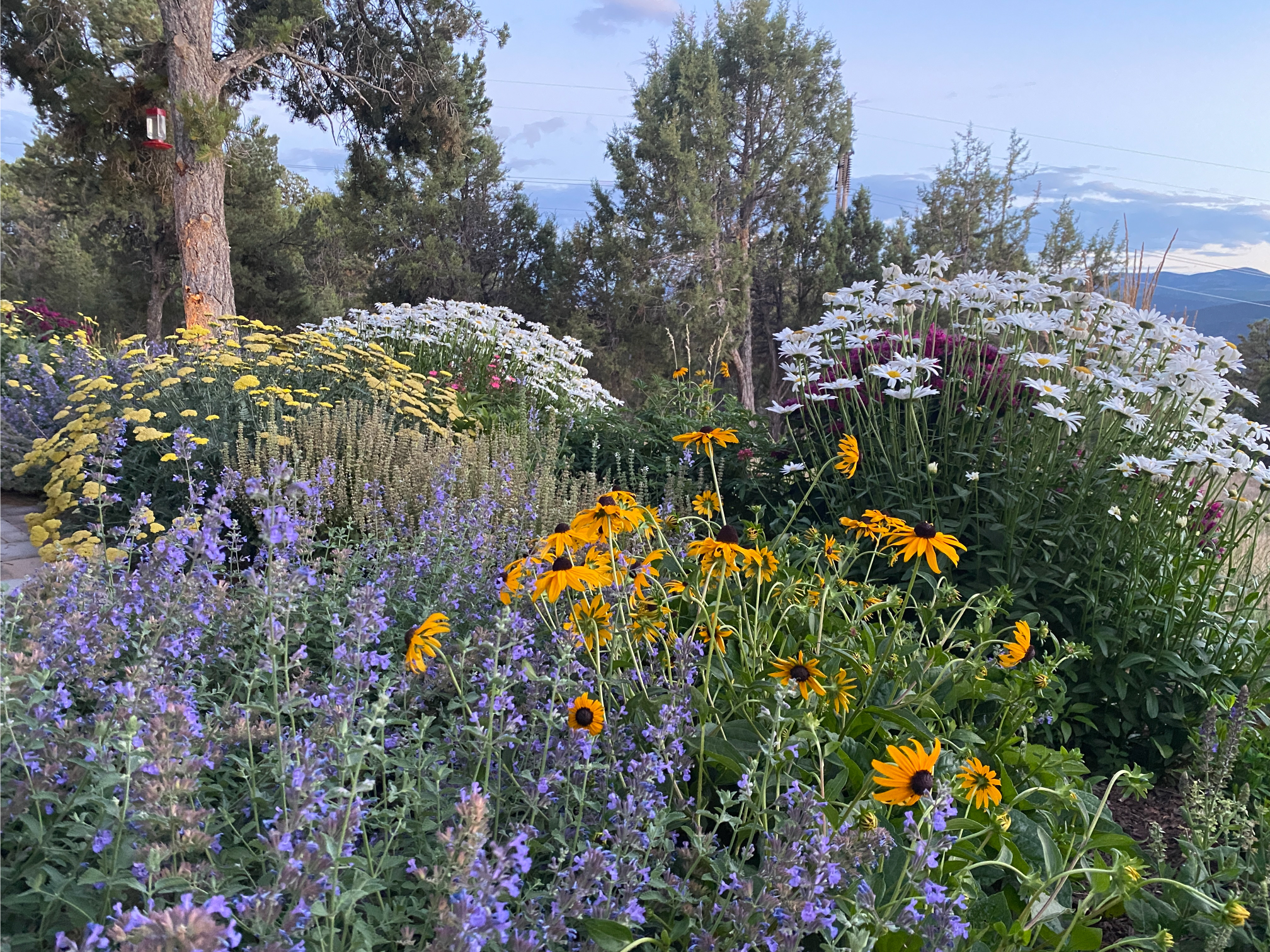 Beautiful garden landscape